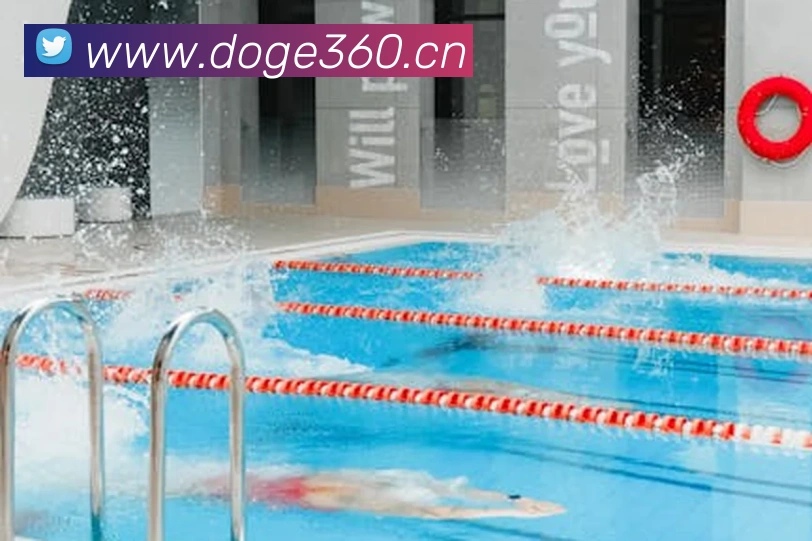 kaiyun登录入口网址服务体系